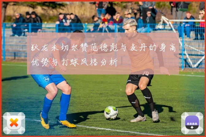 狄龙米切尔赞范德彪与麦丹的身高优势与打球风格分析